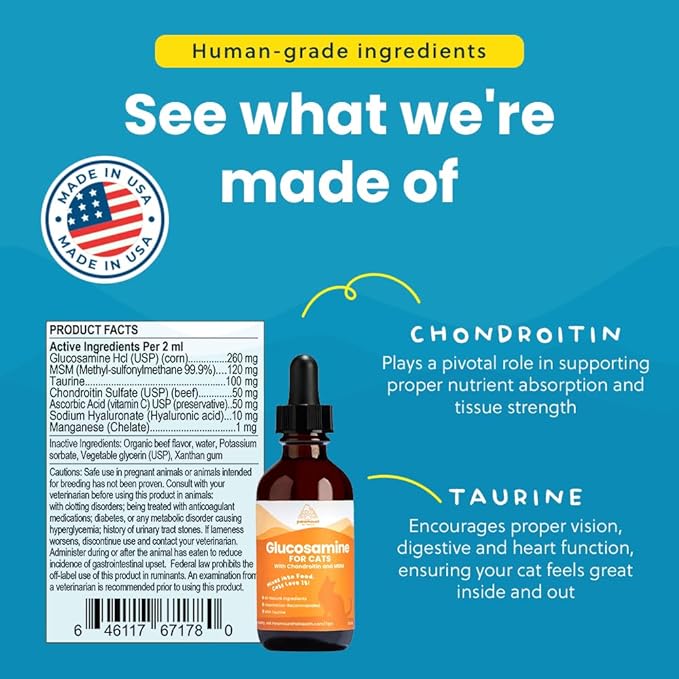 100% Natural Liquid Glucosamine Chondroitin with MSM for Cats, Hip & Joint Supplement for Senior Felines, Arthritis Support & Mobility Booster Glucosamine Drops, 2 Oz