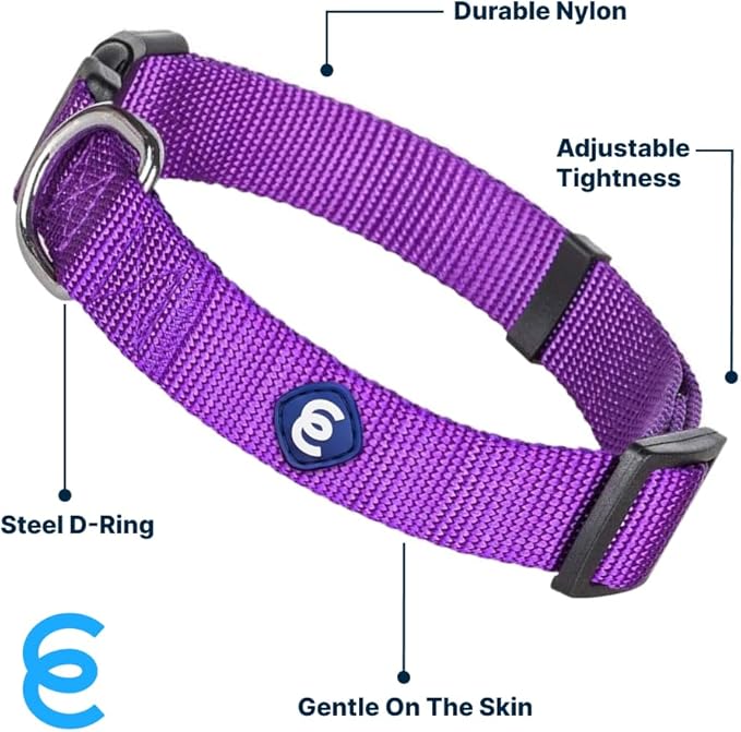 Blueberry Pet Essentials Matching Large Dog Collar | Adjustable Classic Solid Color Nylon Dog Collars for Large Dogs | Dark Orchid Dog Collar for Large Dogs