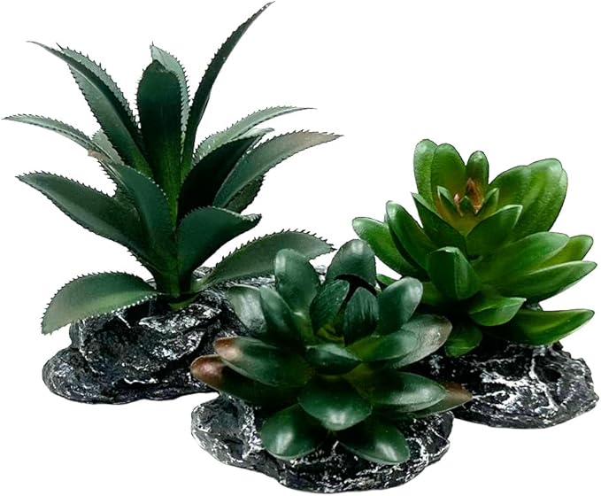 Smoothedo-Pets Reptile Artificial Plants Succulent Terrarium Decor Desert Rainforest Plant Lizard Beard Chameleon Gecko Snake Amphibious Sea Turtle Tank Accessory (Dark-Green-3pcs-Se)