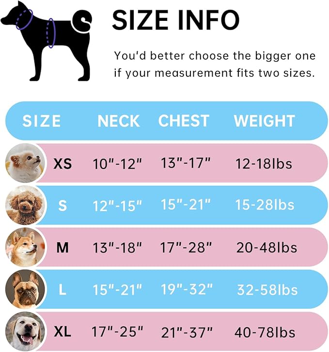 IVY&LANE No Pull Dog Harness with Leash Set, Reflective No Choke Pet Vest,Adjustable Oxford Dog Vest Harness with Easy Control Handle for Small Dogs (Checkered Blue,S)