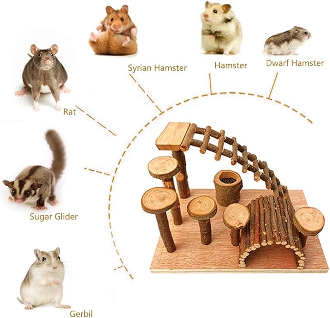 Wooden Hamster Bridge, Small Animals Climbing Ladder Activity Set Platform Ramps Playground Toys for Mouse Dwarf Hamster Gerbil Rat Sugar Glider Syrian Hamster