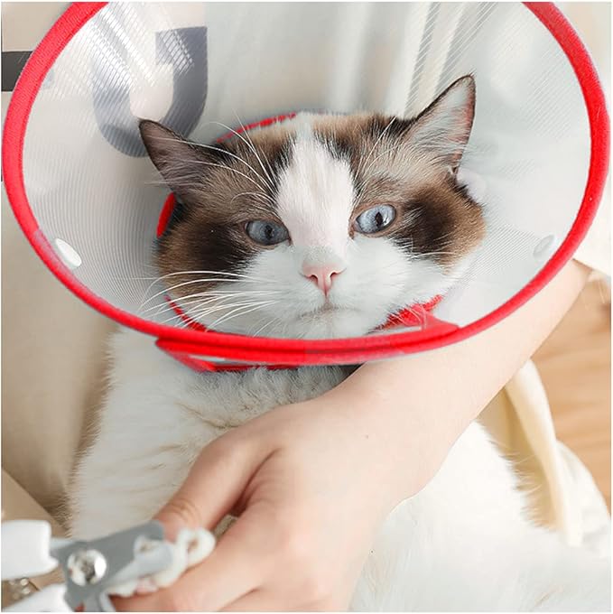 Pet Cone Recovery Dog Cone Adjustable Dog Collar Clear Padded Collar with Breathable Soft Edge, Plastic Puppy Cone Protect The Neck Surgery Recovery, Designed for Cats and Puppies (Small, Red)