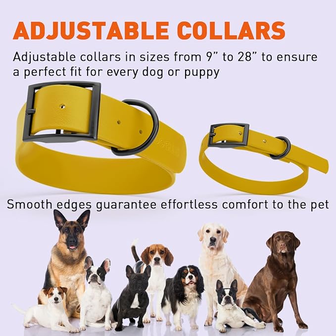 Dogline Biothane Waterproof Dog Collar Strong Coated Nylon Webbing with Black Hardware Odor- Proof for Easy Care Easy to Clean High Performance Fits Small Medium or Large Dogs, Treasure Gold