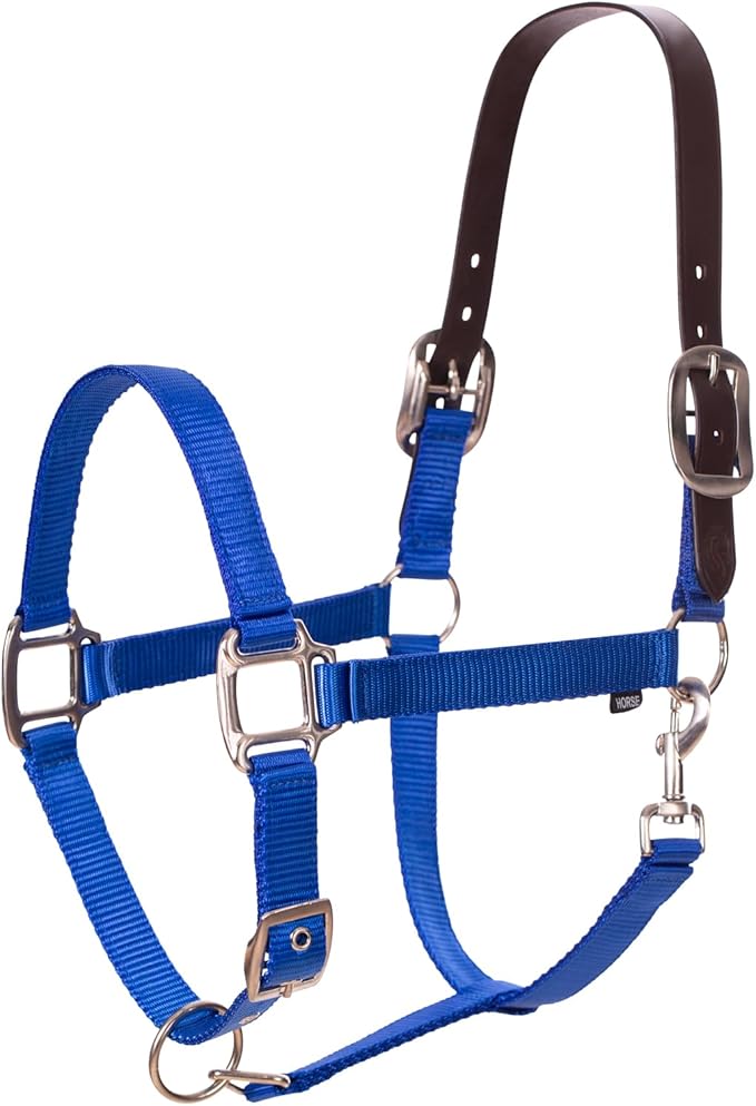 Equinavia Loki Adjustable Breakaway Horse Halter - Royal Blue - Cob
