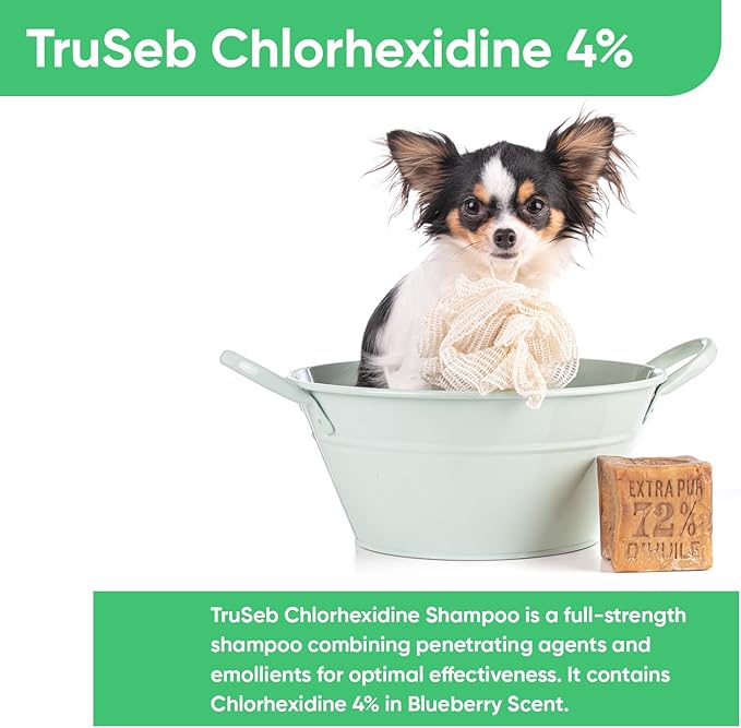 Topical Chlorhexidine 4% Shampoo for Dogs, Cats & Horses (Gallon)- with Aloe for Cleansing (USA) (Chlorhexidine 4% Shampoo, 1 Gallon)