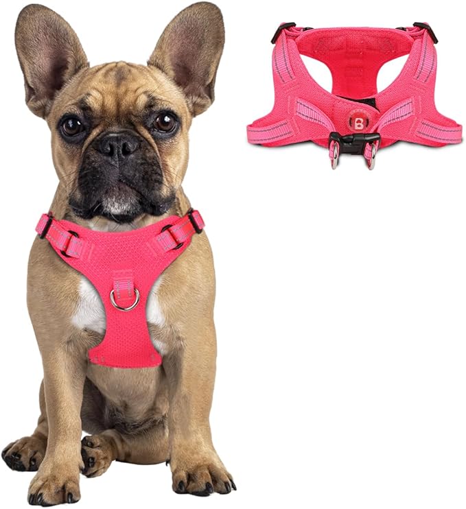 Dog Harness Step in Dog Vest Harness, Reflective Adjustable Puppy No Pull Harness Breathable Soft for Small and Medium Dogs Cats, Pink, S
