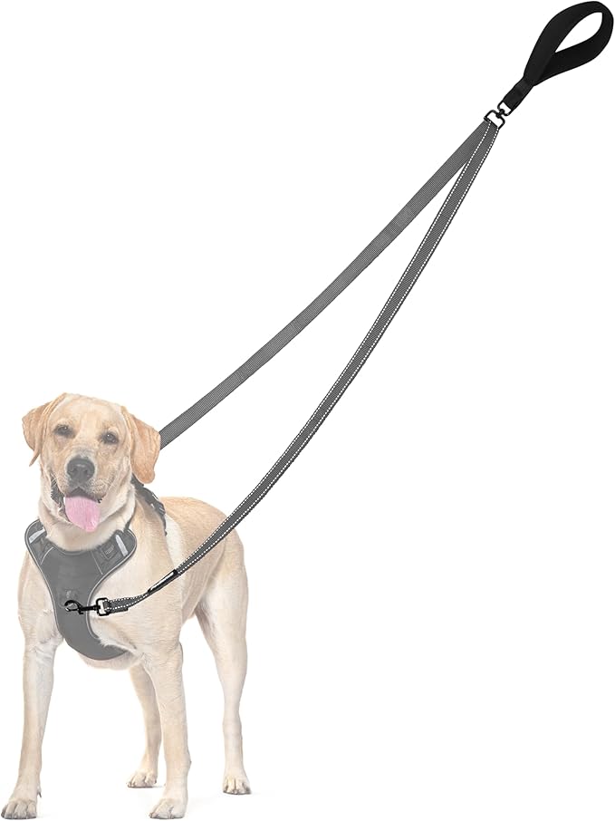 PetBonus Two Point Control Dog Leash, Works with No Pull Harnesses, No Tangle Dog Training Leashes, No Pull Padded and Reflective Walking Lead, Converts to Single Leash for Medium Large Dogs (Grey)