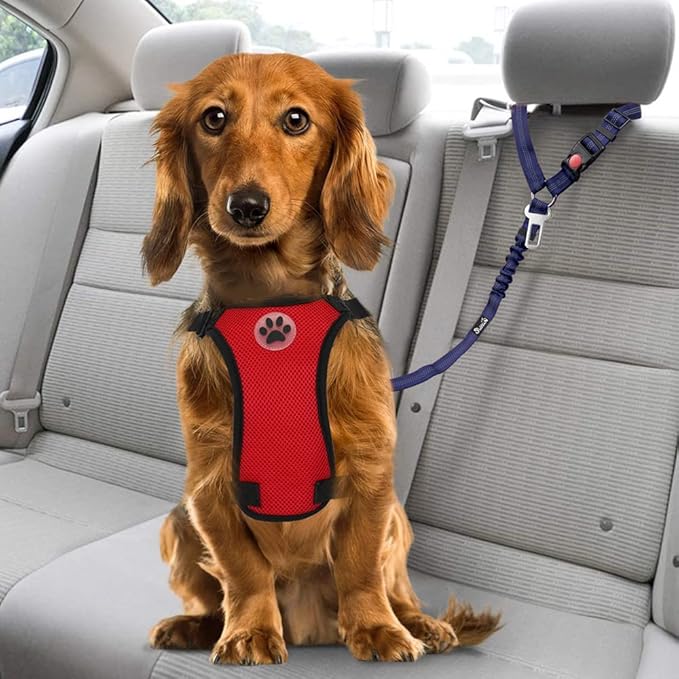 SlowTon Dog Seat Belt for Car, 2 Pack Dog Car Harness Seatbelt Adjustable with Elastic Bungee Buffer, 2 in 1 Pet Car Leash Headrest Restraint Dog Reflective Safety Tether (Blue, Headrest+Clip)
