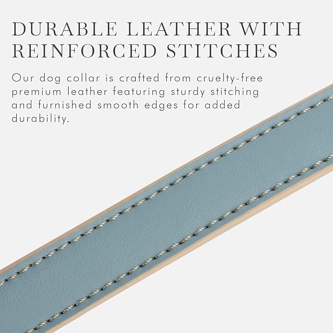 Cupertino Dog Collars, Harnesses & Leashes Made from Vegan Leather with Dog Tracker Device Holder Adjustable Dog Collar - Color Blue, Medium