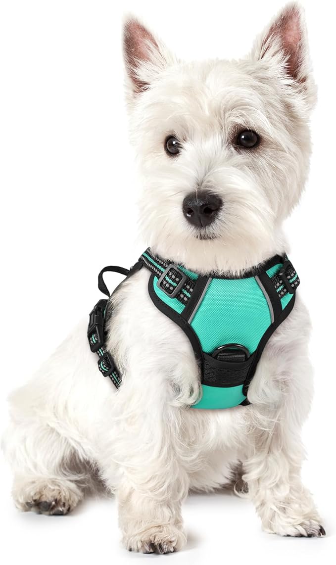 rabbitgoo Dog Harness No Pull with 2 Leash Clips, Adjustable Soft Padded, Reflective Oxford No Choke Pet Vest with Easy Control Handle for Puppy, Turquoise, XS