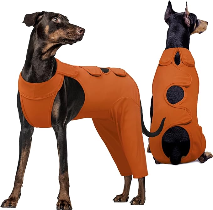 Kuoser Dog Recovery Suit for Back Legs & Thigh Wounds - Brown XL