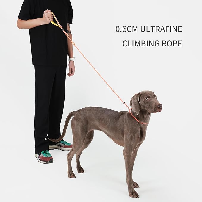 Dog Anti-Slip Leash 5FT with Metal Stopper - Durable No-Pull Training Lead for Small, Medium & Large Dogs - Comfortable Handle Nylon Rope, Tangle-Free Pet Walking Leash (Orange, 5 FT)