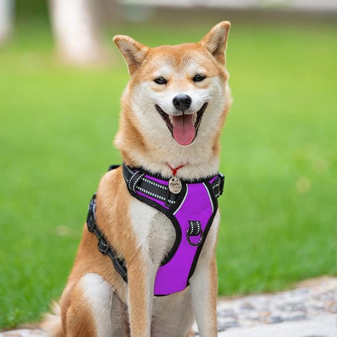 PoyPet No Pull Dog Harness, Reflective Comfortable Vest Harness with Front & Back 2 Leash Attachments and Easy Control Handle Adjustable Soft Padded Pet Vest for Small to Large Dogs (Purple,L)