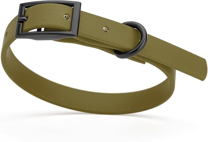 Dogline Biothane Waterproof Dog Collar Strong Coated Nylon Webbing with Black Hardware Odor- Proof for Easy Care Easy to Clean High Performance Fits Small Medium or Large Dogs, Olive Drab Green