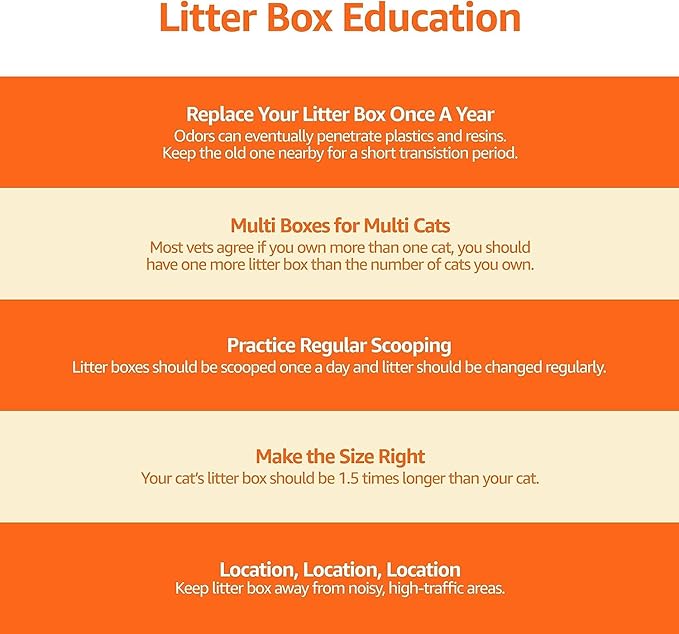 Amazon Basics Large Cat Litter Box with High Sides, Top Entry, Includes Scoop, 20.5 x 14.75 x 14.38 inches, Grey