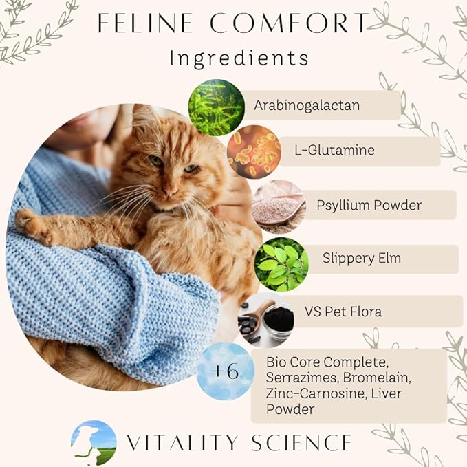 Feline Comfort for Cats | Maintains a Healthy Intestinal Tract and Proper Gut Flora | Restores Gastric Stability | for Vomiting and Diarrhea | 100% Additive Free (Seafood, 98g)