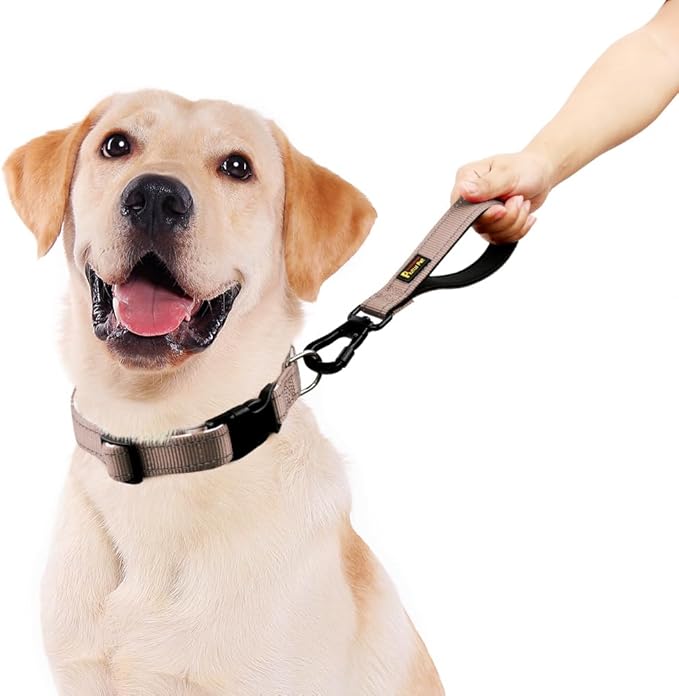 PLUTUS PET Short Dog Leash, Reflective Nylon Padded Handle, Strong Traffic Leash with Carabiner Clip, Perfect for Large or Medium Dogs (10”，Beige)