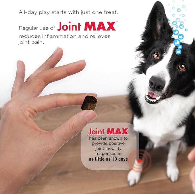 TS Joint Supplement Vet Formulated Pain & Inflammation Relief Treats Hip Dysplasia & Arthritis, Glucosamine, Chondroitin, Turmeric, MSM, HA, Creatine, Omega 3 EPA + DHA.120 Soft Chews