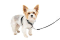 PetSafe 3 in 1 Dog Harness - No Pull Solution for Dogs - Reflective Dog Harness - Front D-Ring Clip Helps Stop Pulling - Comfortable Padded Straps - Top Handle Enhances Control - Black - Extra Small