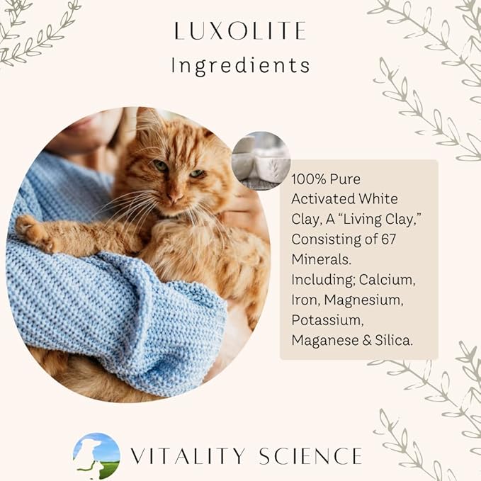 Gastro Prime Combo for Cats | Supports Normal GI Function and Improves Nutrient Assimilation