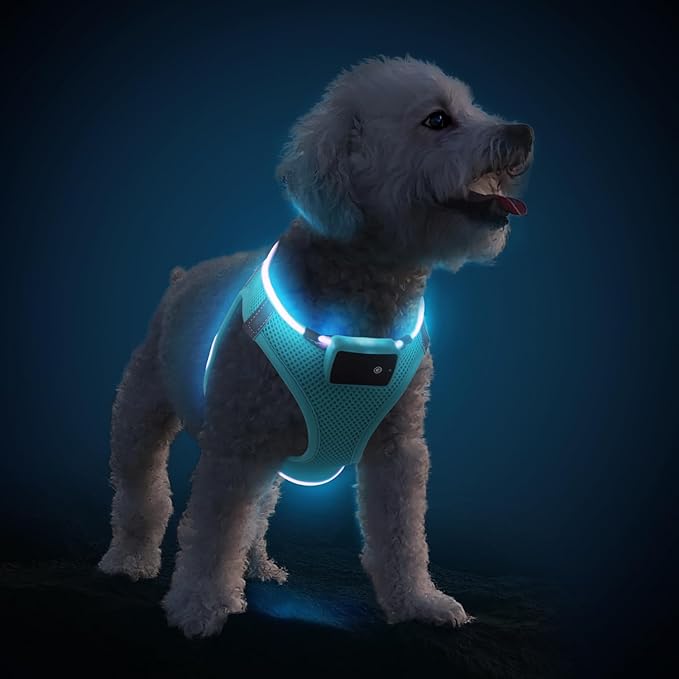 PceoTllar Light Up Dog Harness, LED No Pull Reflective Dog Harness, Flashing Lighted for Night Walking - Small/Medium, (Blue S)