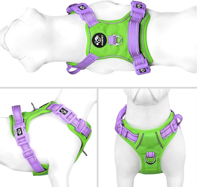 PHOEPET No Pull Dog Harness, Unique Colors Reflective Adjustable Dog Vest, with Soft Training Handle Metal Clips for Small Medium Large Dogs (Green Base & Purple Straps,S)