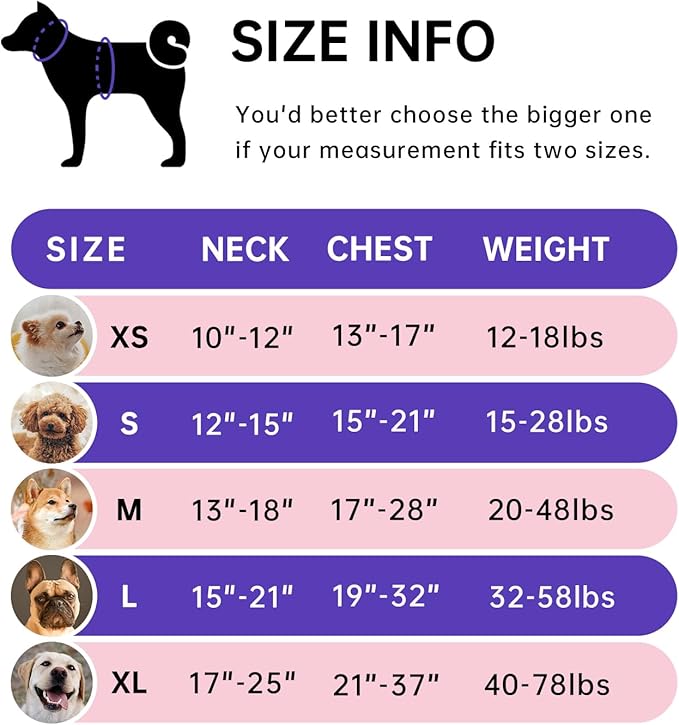 IVY&LANE No Pull Dog Harness with Leash Set, Reflective No Choke Pet Vest,Adjustable Oxford Dog Vest Harness with Easy Control Handle for Medium Lagre Dogs (Checkered Pink,M)