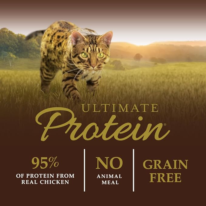 Instinct Ultimate Protein Grain Free Cage Free Chicken Recipe Natural Dry Cat Food, 10 lb. Bag