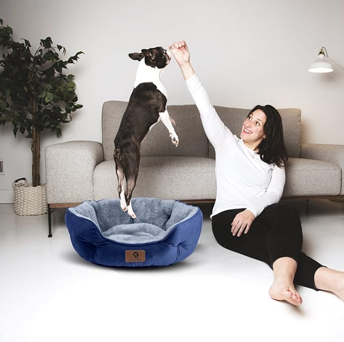 Asvin Small Dog Bed for Small Dogs, Cat Beds for Indoor Cats, Pet Bed for Puppy and Kitty, Extra Soft & Machine Washable with Anti-Slip & Water-Resistant Oxford Bottom, Blue, 20 inches