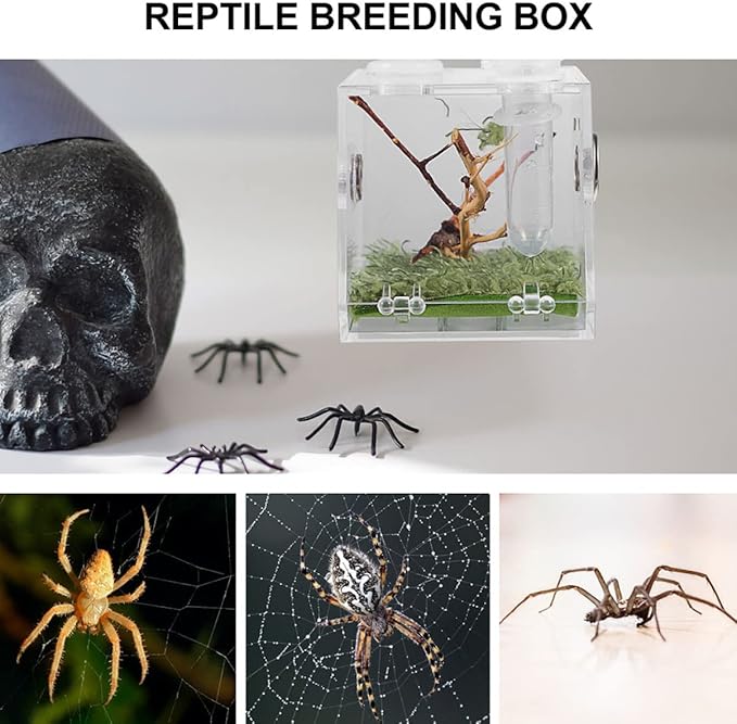 balacoo 8 Sets Jumping Spider Enclosure: Spider Cage Habitat Jumping Terrarium Micro Scorpion Droppers Reptile Hide Clear Enclosure Breeding Box Case with Breeding Tweezers