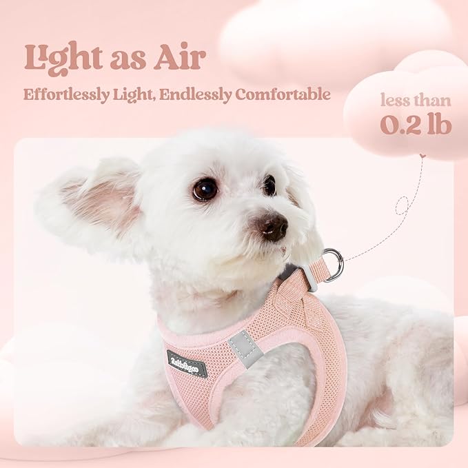 rabbitgoo Dog Harness Small Sized and Leash Set, Step in Soft Light Puppy Vest, Breathable Mesh Pet Harness, Reflective for Outdoor Safe Walking, Pink XXL