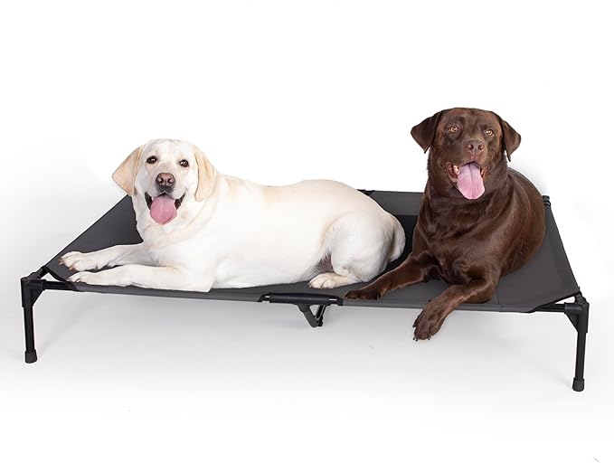 K&H Pet Products Outdoor Elevated Dog Cot, Breathable Cooling Elevated Cot Hammock Pet Bed for XL Dogs, Washable Mesh Cover, Raised Metal Frame, Collapsible, Portable - Jumbo 56 X 38in Charcoal