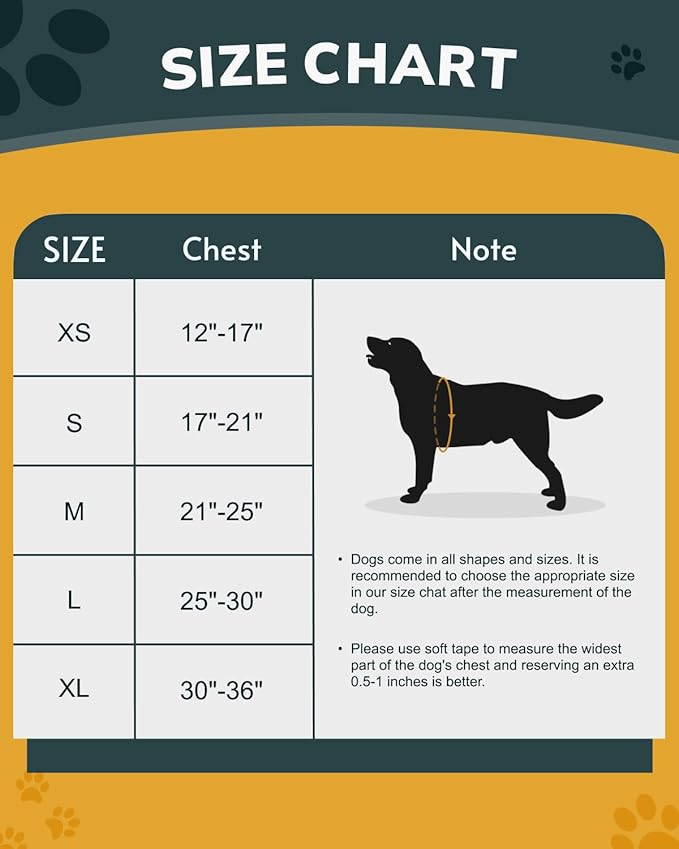 MIDOG No-Pull Dog Harness | Adjustable & Reflective Pet Harness Leash Set for Small Medium Large Dogs Walking, Training| No Choke, Front Clip, Soft Padded Vest with Easy Control Handle - Blue, L