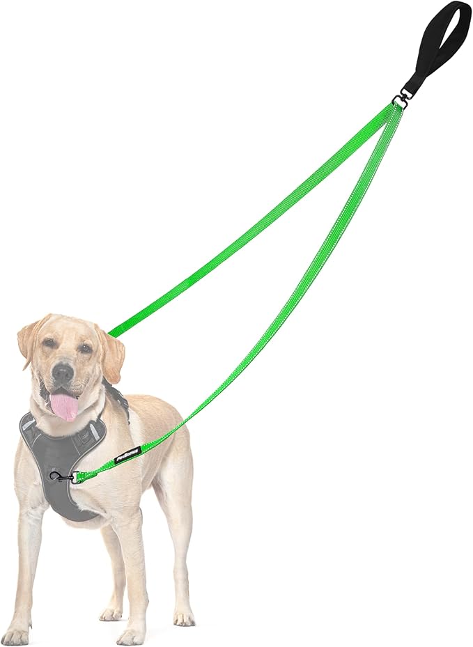 PetBonus Two Point Control Dog Leash, Works with No Pull Harnesses, No Tangle Training Leashes, Soft Padded and Reflective Walking Lead, Converts to Single Lead for Medium Large Dogs (Grass Green)