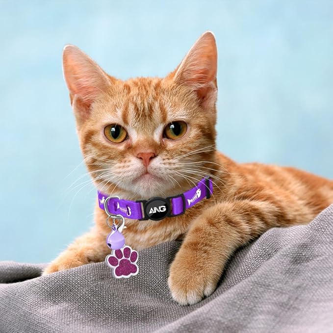 Personalized Breakaway Cat Collars Glow-in-The-Dark with ID Tag, Bell - Safety Quick - Release, Customizable for Female Male Kittens & Cats (Purple)