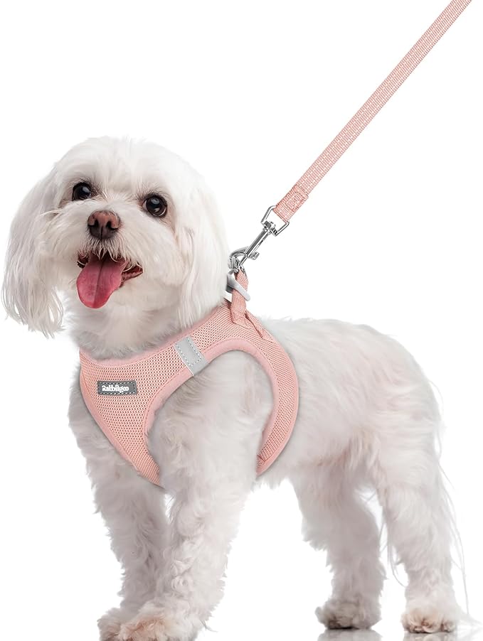 rabbitgoo Dog Harness Small Sized and Leash Set, Step in Soft Light Puppy Vest, Breathable Mesh Pet Harness, Reflective for Safe Outdoor Walking, Pink M