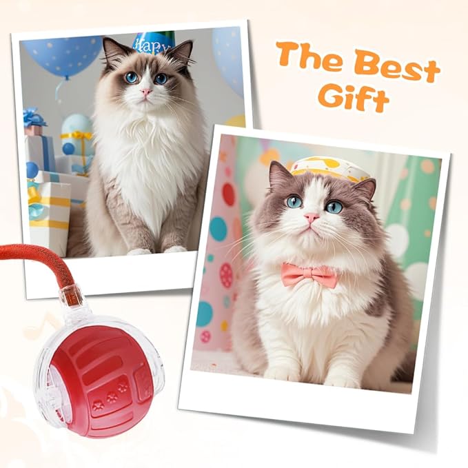2026 New Interactive Pet Toy Ball, Smart Interactive Toy Ball for Cats & Dogs, Electric Rolling Pet Toy Ball, Rechargeable Interactive Cat Toys for Bored Indoor Cats Kittens to Keep Busy (Gray)