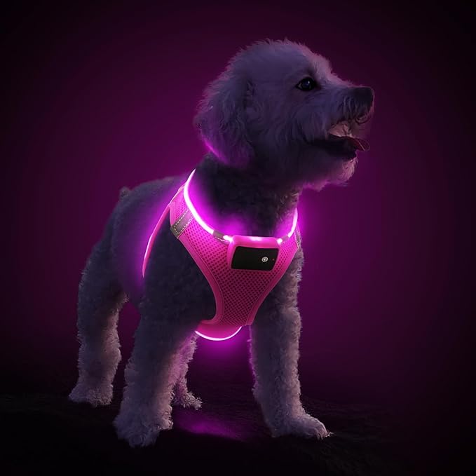 PceoTllar Light Up Dog Harness, LED No Pull Reflective Dog Harness, Flashing Lighted for Night Walking - Small/Medium, (Pink,XS)