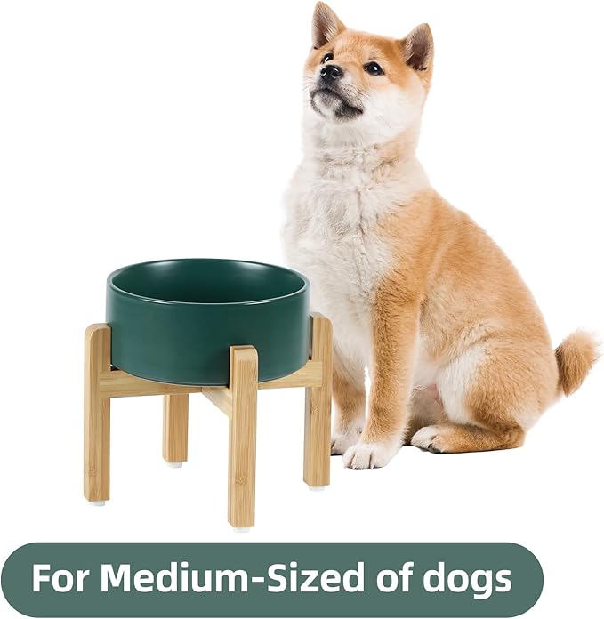 Ceramic Elevated Dog Bowl Set, Food and Water Bowl for Medium Dogs, Weighted Dishes, Green (7.3'', 41OZ)