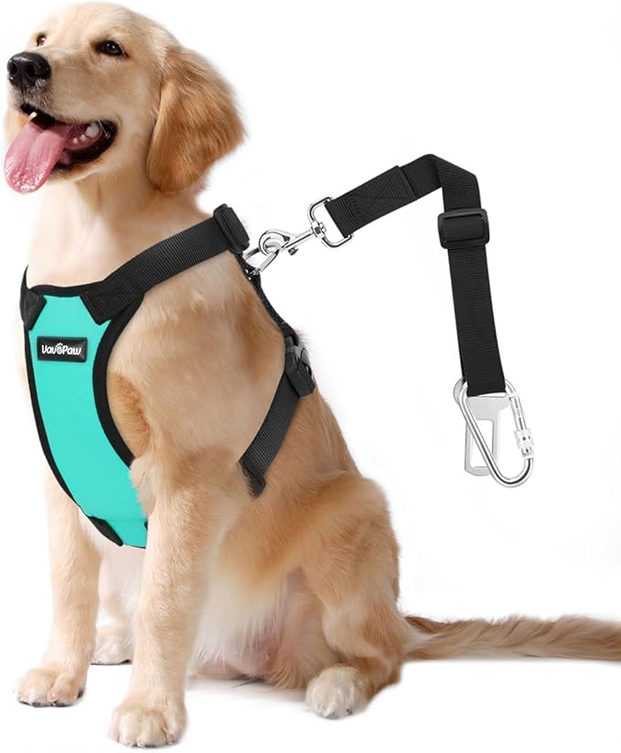 Dog Seat Belt, Safety Vest Dog Car Harness with Adjustable Buckle Dog Seat Belt for Vehicle Nylon Pet Safety Seat Belts Heavy Duty(XXL, Blue)