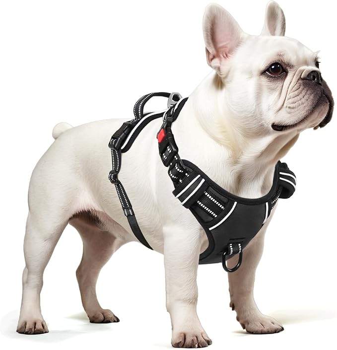 Timos Dog Harness, 3 Snap Buckles No-Pull Soft Padded Dog Vest with 2 Metal Leash Clips, Adjustable Reflective No Choke Pet Harness with Easy Control Handle for Small Dogs,Black,S