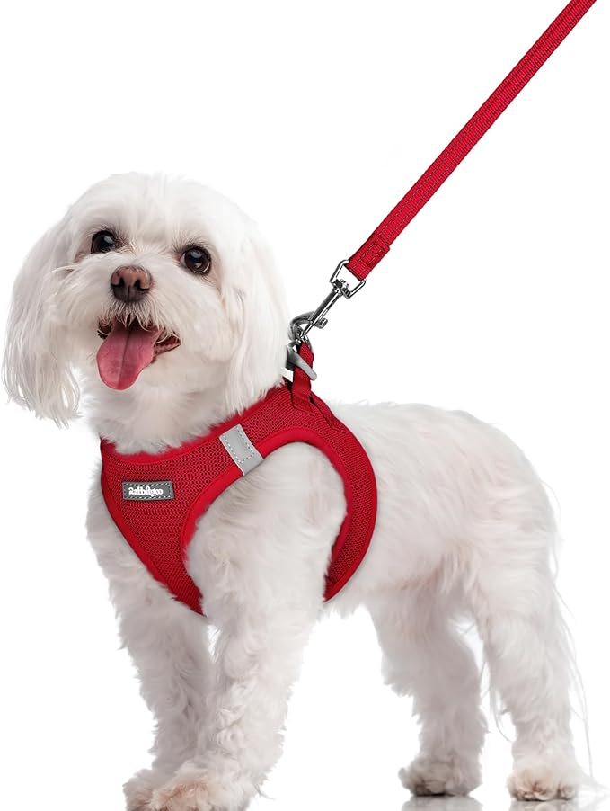 rabbitgoo Dog Harness Small Sized and Leash Set, Step in Soft Light Puppy Vest, Breathable Mesh Pet Harness, Reflective for Safe Easy Walking, Red M
