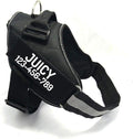 PawPawify Custom No Pull Dog Harness with Name and Phone Number, Heavy Duty Personalized Pet Vest to Prevent Tugging, Pulling, or Choking, Training and Walking (Black, L (40-60 LBS))