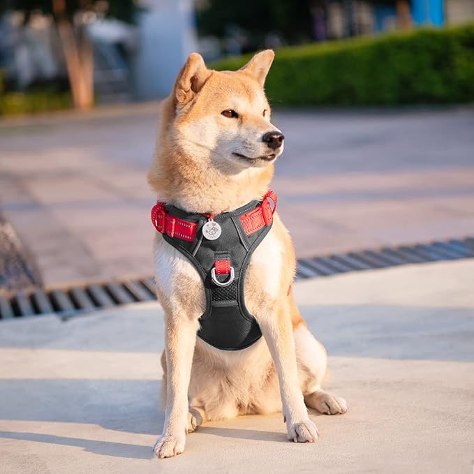 PHOEPET No Pull Dog Harness, Unique Colors Reflective Adjustable Dog Vest, with Soft Training Handle Metal Clips for Small Medium Large Dogs (Black Base & Red Straps,S)
