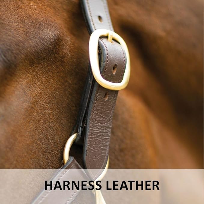 Dura-Tech Premier Lancaster Leather Halter for Horses | Simple Economy Leather Halter with Adjustable Fit & Solid Brass Hardware
