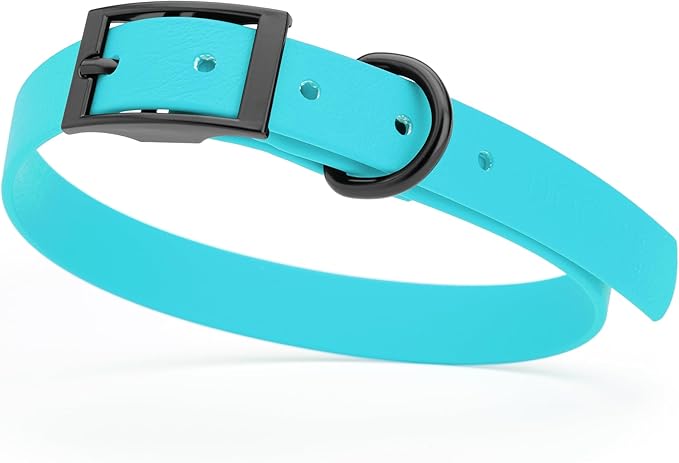 Dogline Biothane Waterproof Dog Collar Strong Coated Nylon Webbing with Black Hardware Odor- Proof for Easy Care Easy to Clean High Performance Fits Small Medium or Large Dogs, Sky Blue
