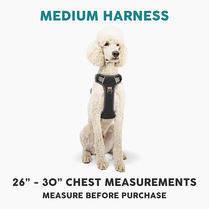 Embark Adventure Dog Harness, Reflective Trim No Pull Dog Harness Medium Sized - Military Grade Nylon, Front Clip with Gel Lined Handle. Soft & Padded Puppy Harnesses for Any Breed