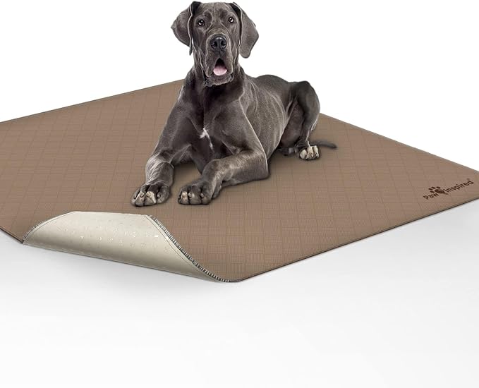 Paw Inspired Washable Pee Pad for Dogs | Leakproof, Non-Slip Reusable Puppy Pad for Potty Training, Whelping, Waterproof Mat (72x72 Size, Pack of 1)