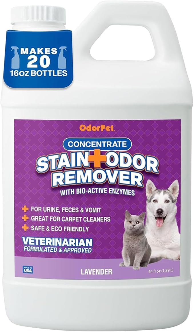 OdorPet Pet Stain Remover and Odor Eliminator - 64 Oz (Makes 2.55 Gallons of Working Solution) Non Staining, Professional Strength, Lavender Scent by Alpha Tech Pet