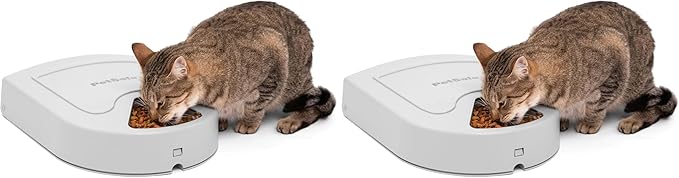 PetSafe Automatic Dog Feeder, 5 Meals, 40 oz Capacity, Plastic, for Dry Food, Multiple Pets (Pack of 2)